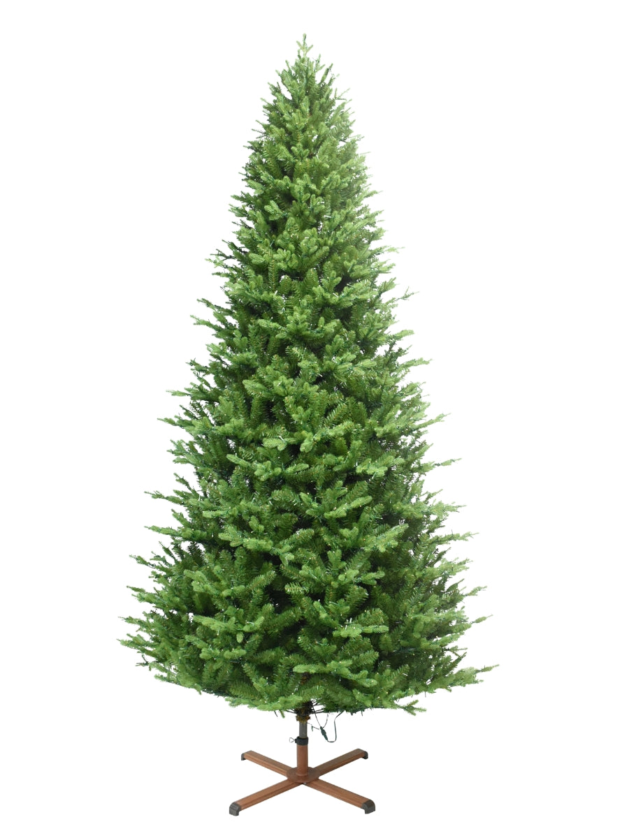 Balsam Fir 9'